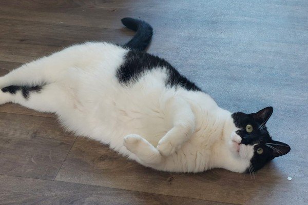 Tom