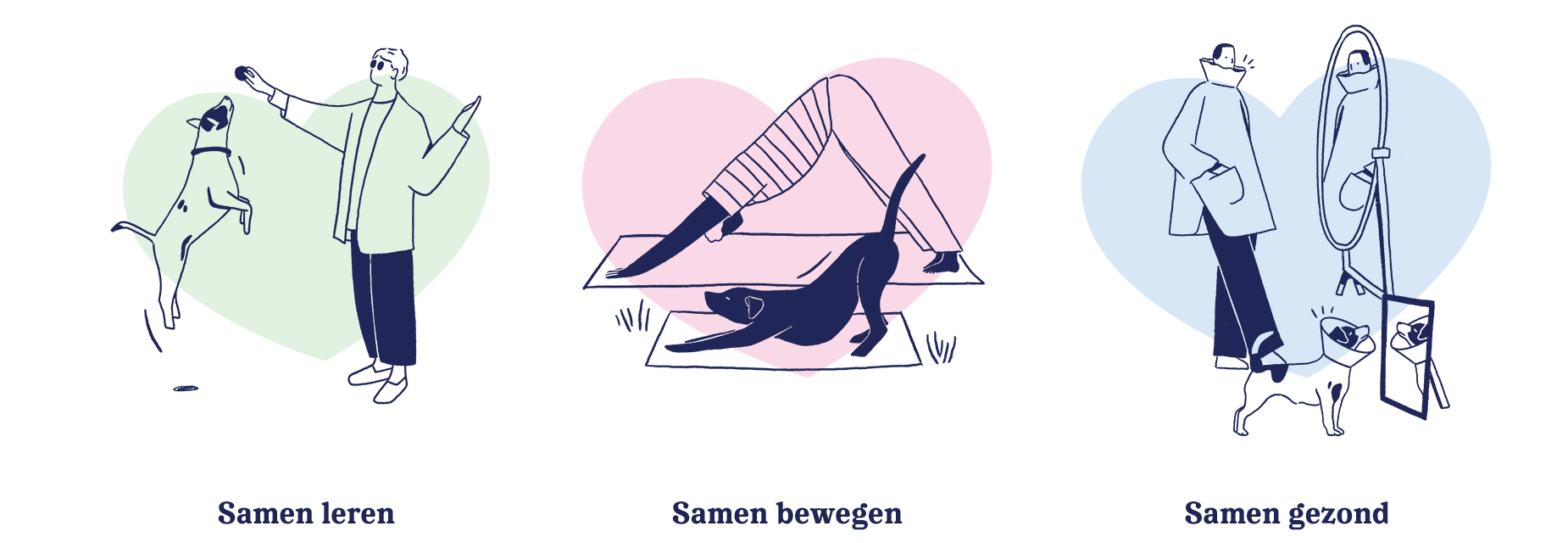 huisdierenschool