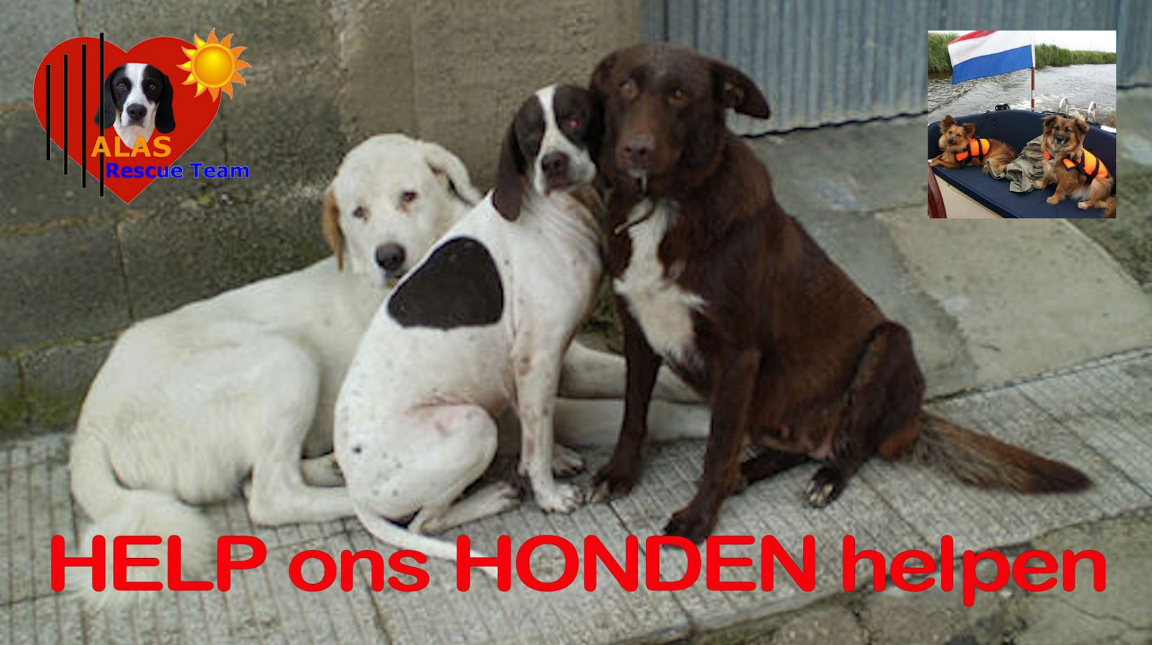 ALAS RESCUE TEAM voor Verhuisdiere