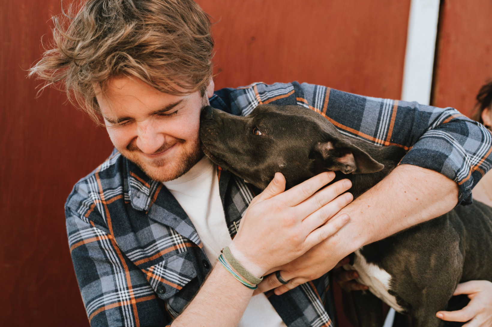Stafford of pitbull adopteren