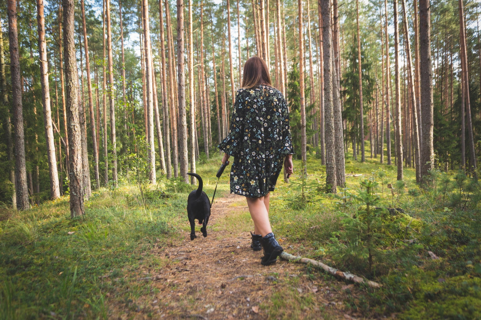 Dame laat als oppasser hond uit in het bos