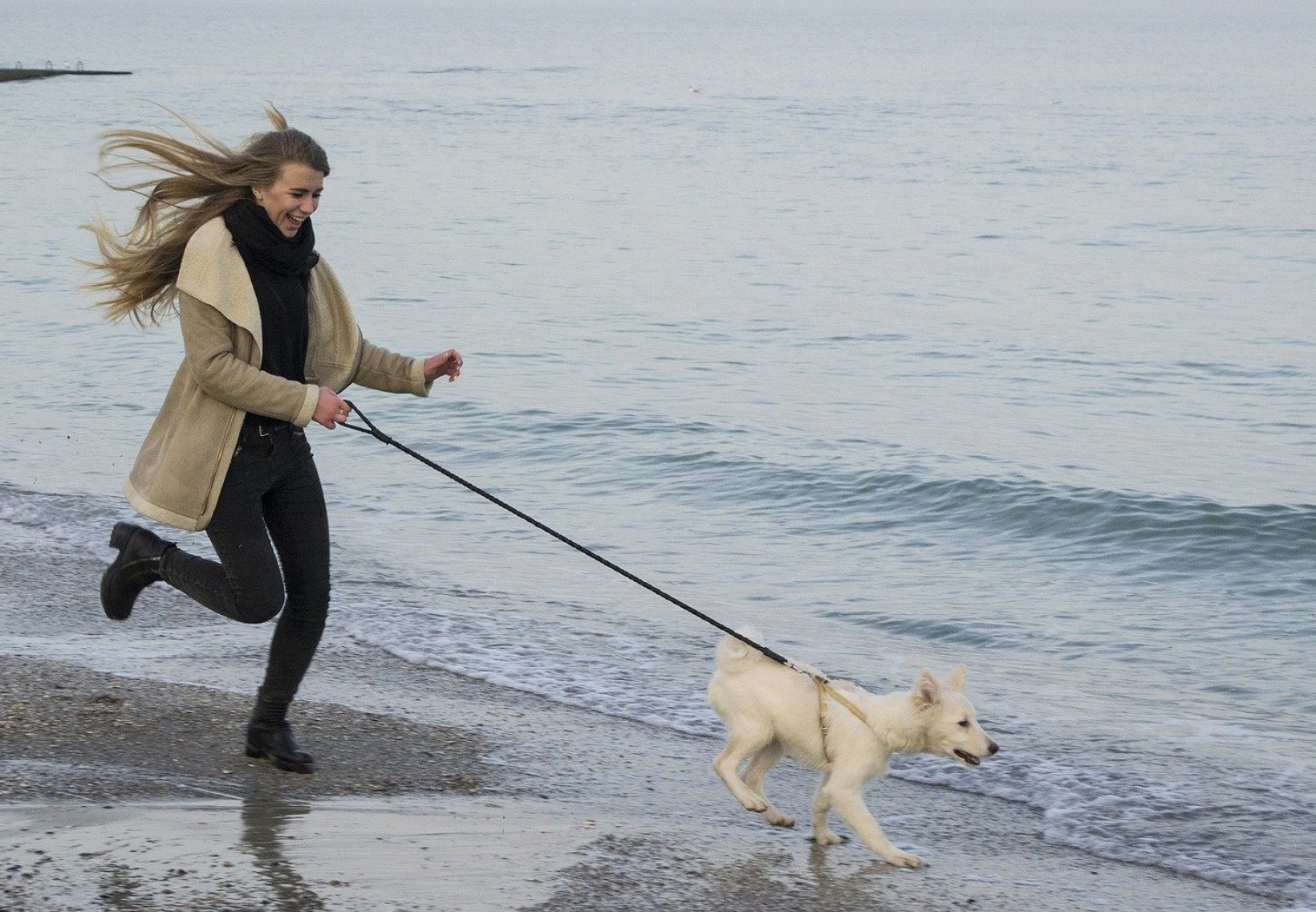 Hond met oppasser rennend op het strand