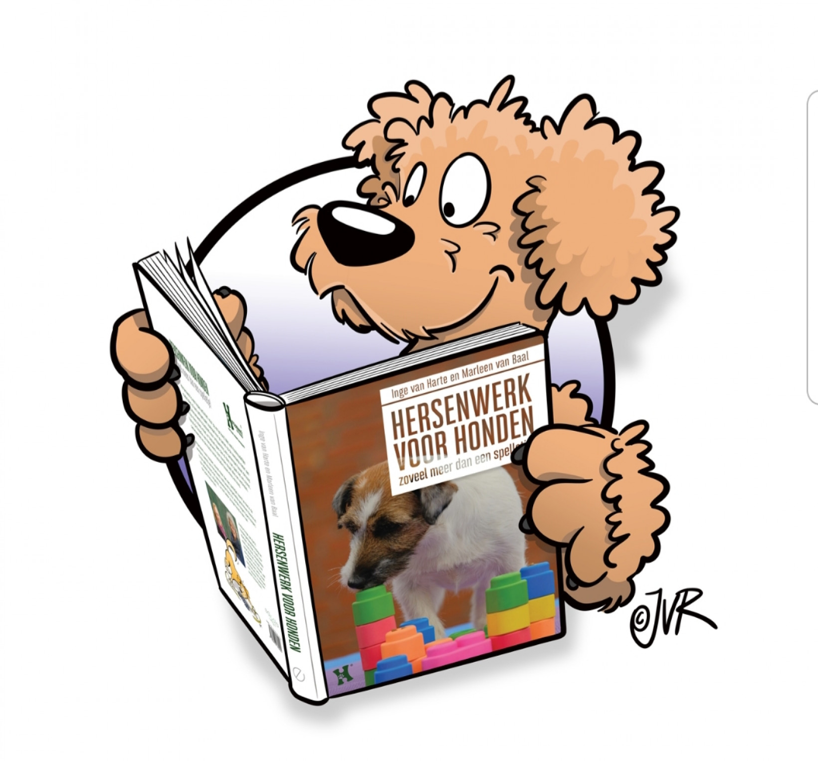 Plaatje boek hersenwerk