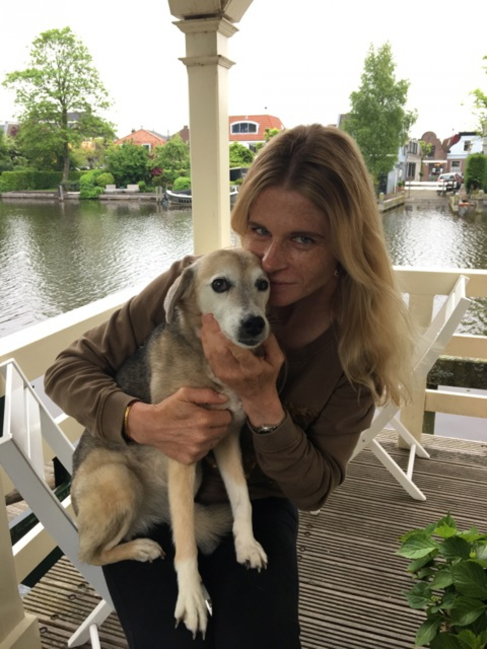 Oudere hond heeft andere behoeften