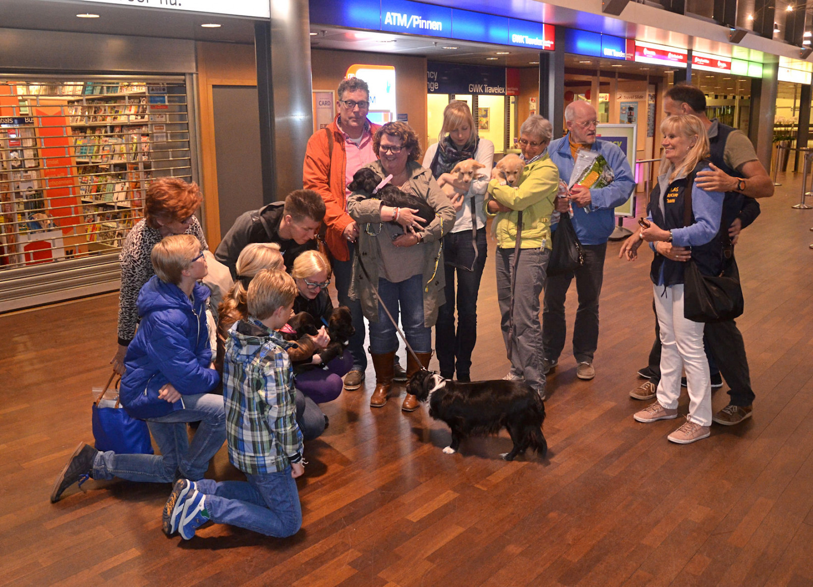 Herplaatser adoptie straathond
