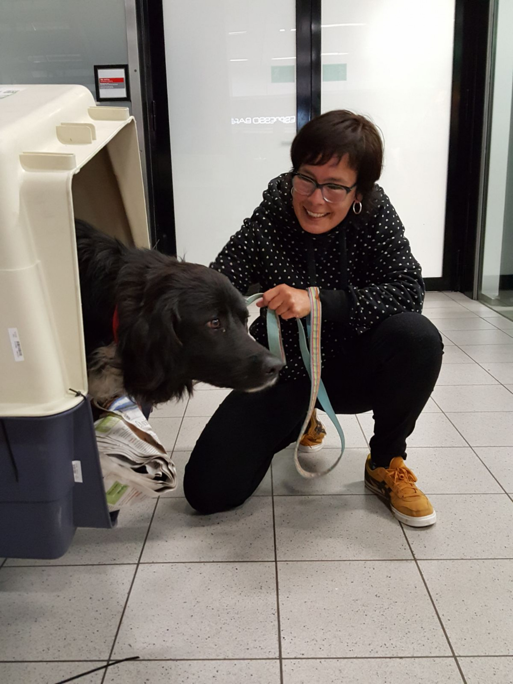 Geadopteerde hond komt aan op Schiphol