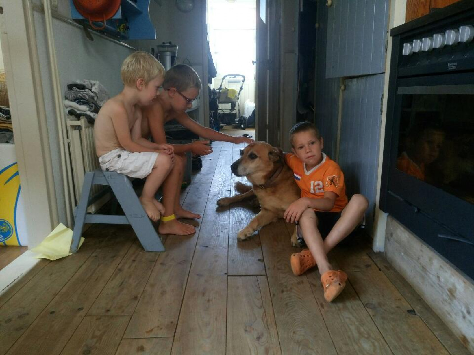Senioren hond herplaatst