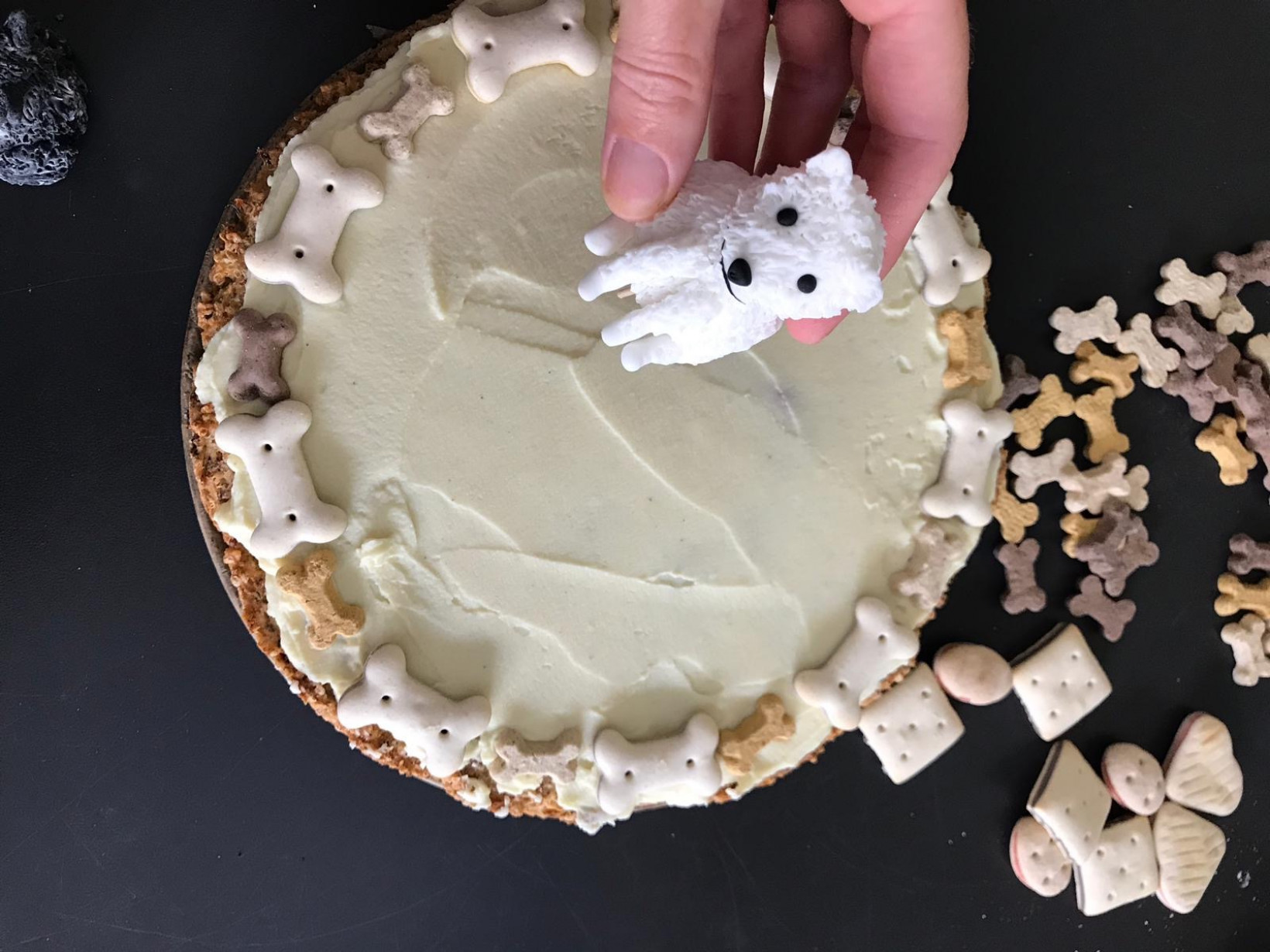 Recept voor hondentaart