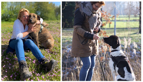 Verschillende opvang honden Colette.