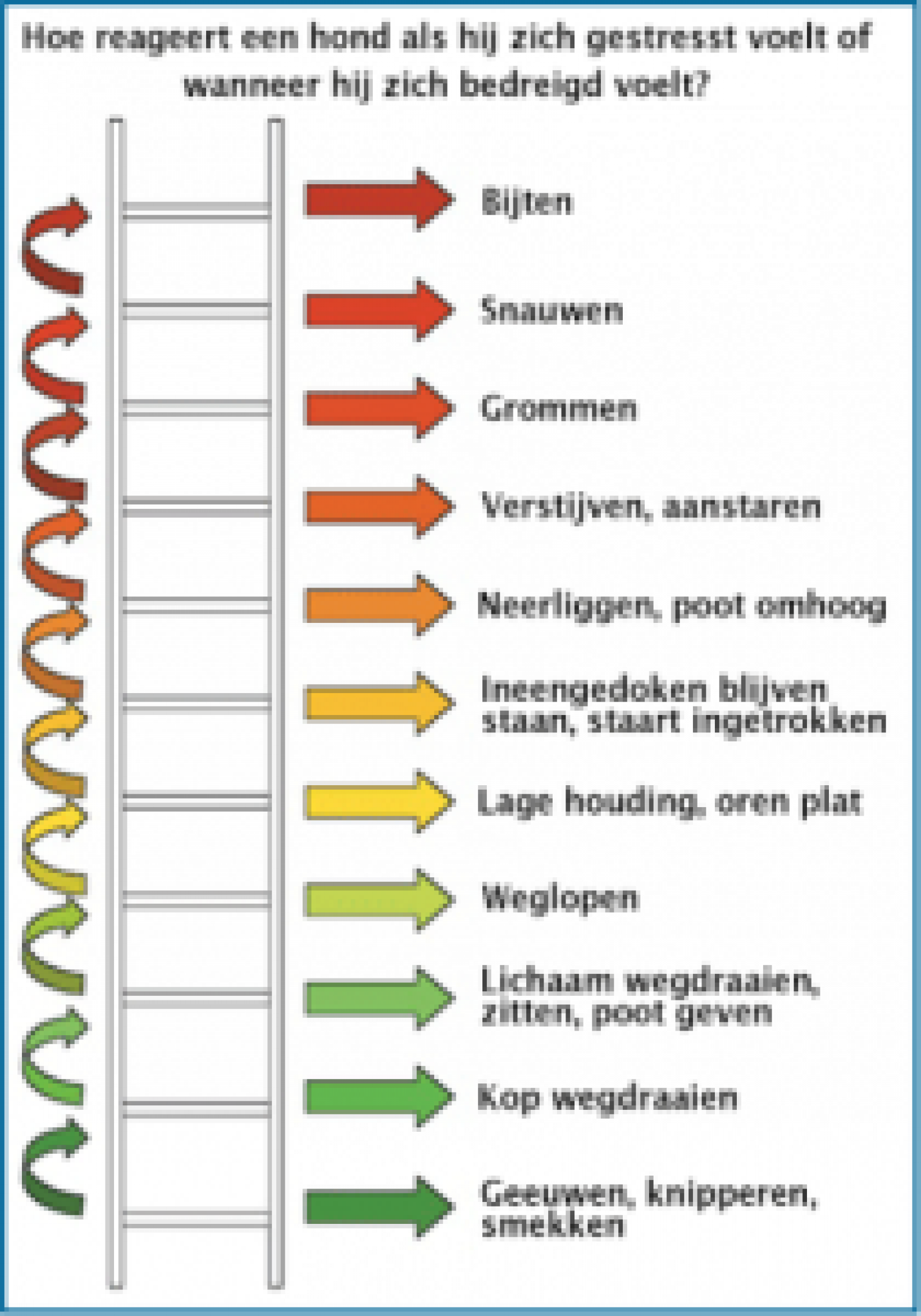 Agressieladder hond