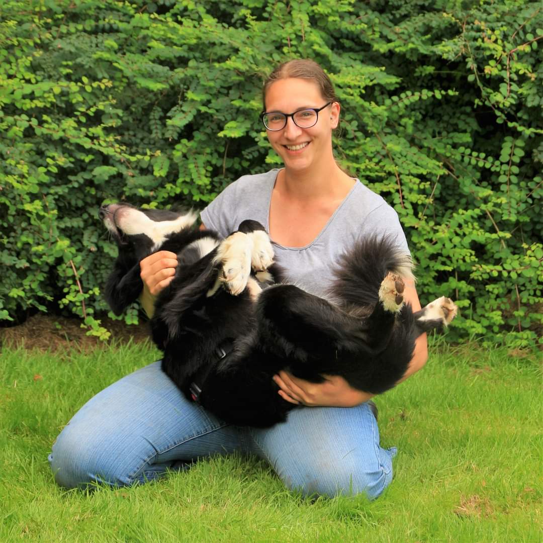 Priscilla met herplaatshond