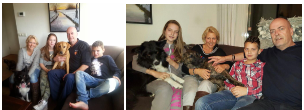 Gastgezinnen gezocht - Colette ving in haar gezin al 60 honden op.