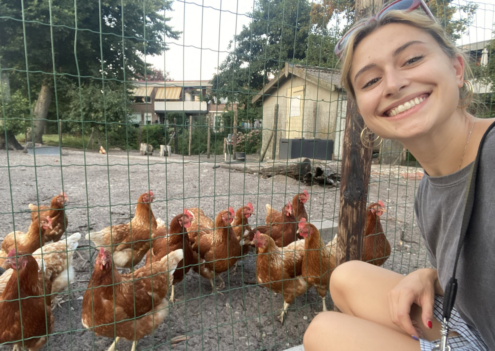Sara bij kippenren