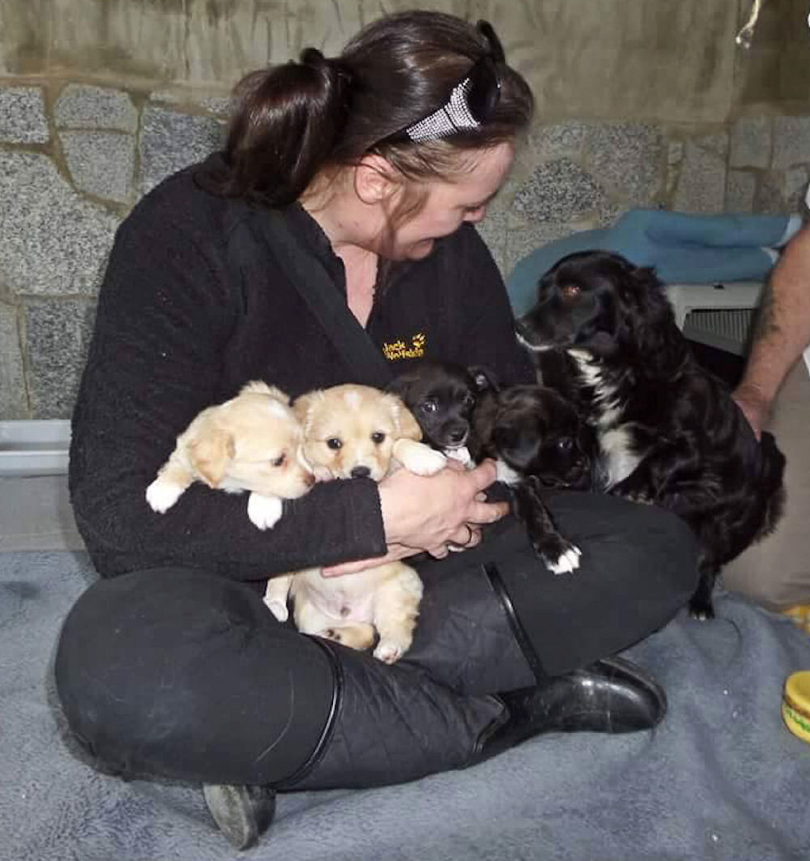 Adoptie hond stichting