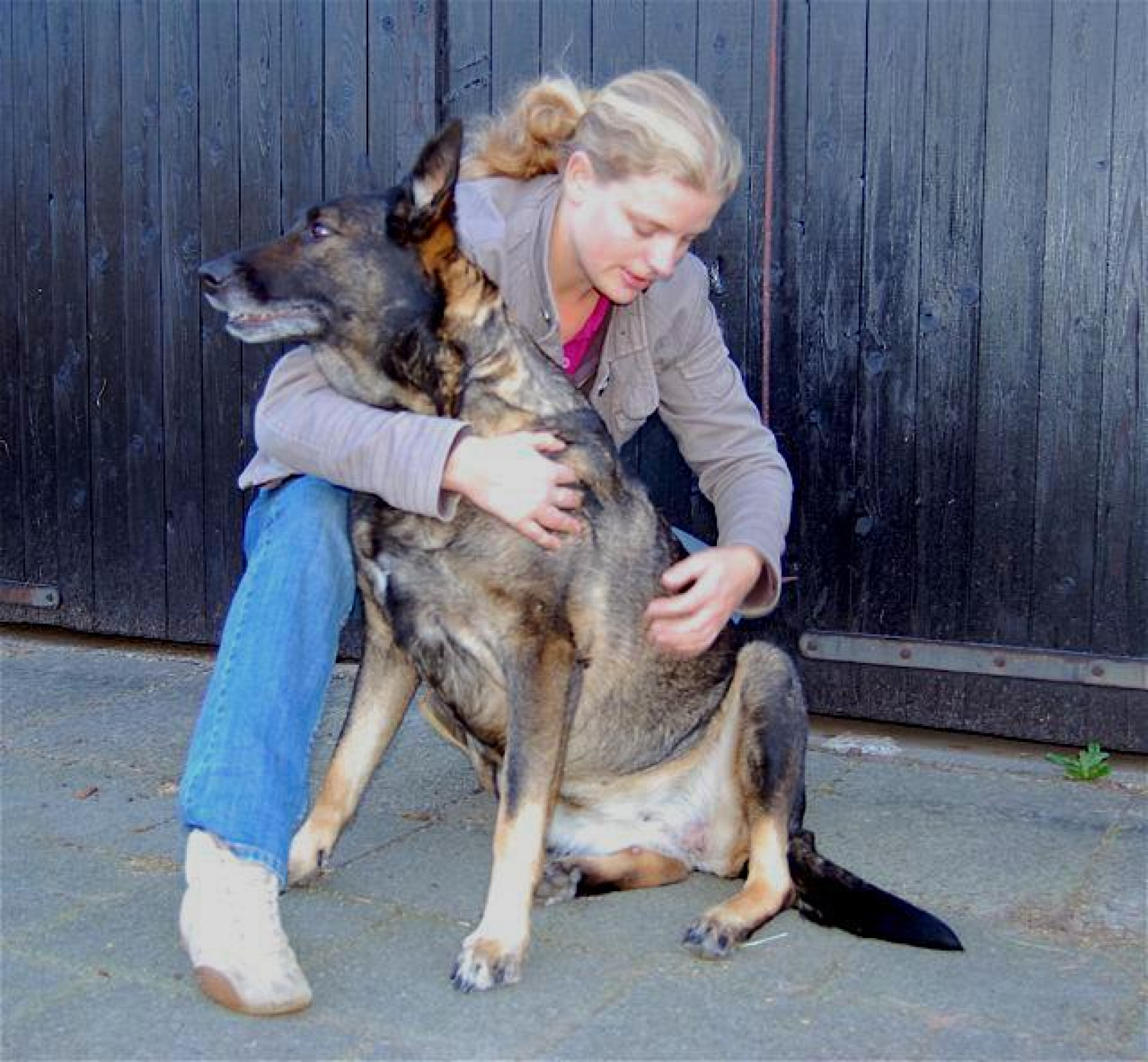 Osteophatie bij de hond